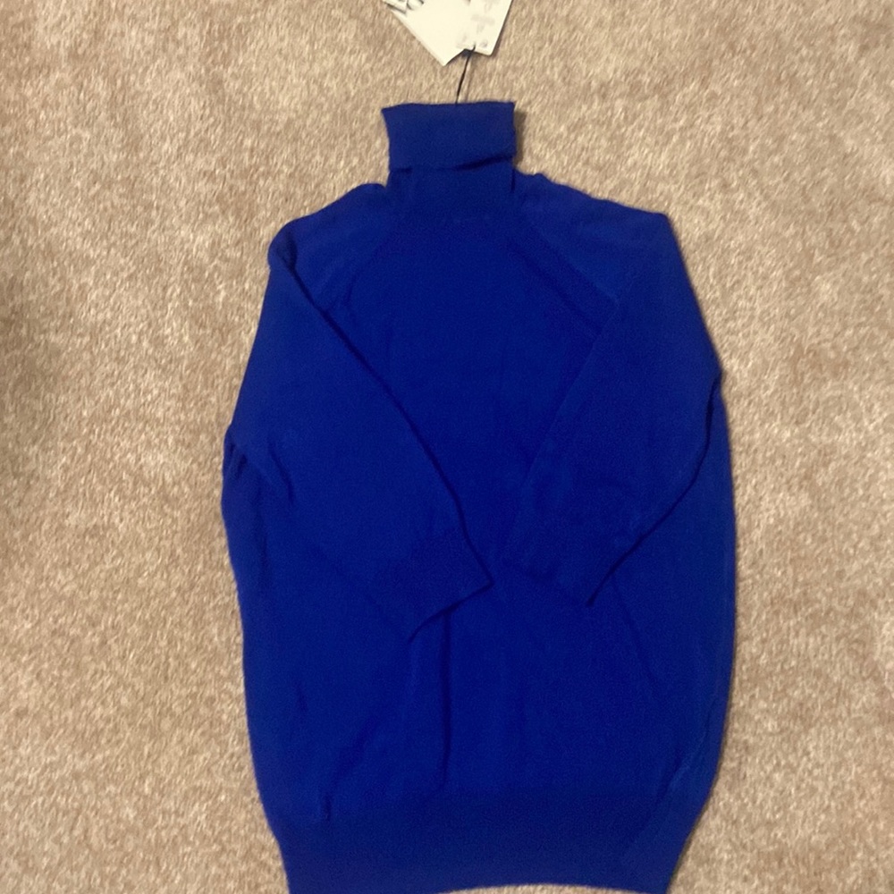 Zara turtle neck